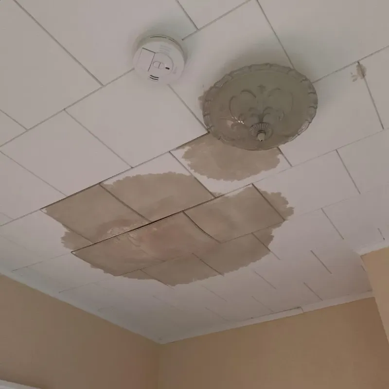 Ceiling Water Damage Repair in Owego, NY